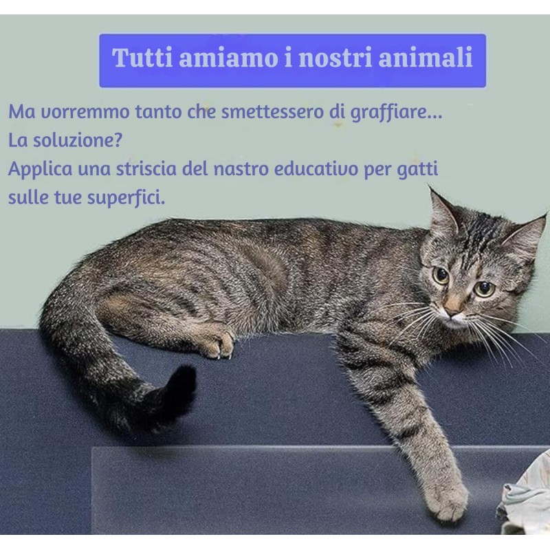 Nastro Biadesivo antigraffio per gatti trasparente, per divani, porte, tavoli e mobili