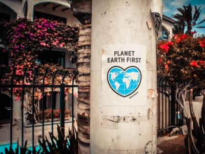 Eco-friendly solvent paper and Hot Melt, what the differences are